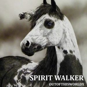 Meet your Posher, Terry